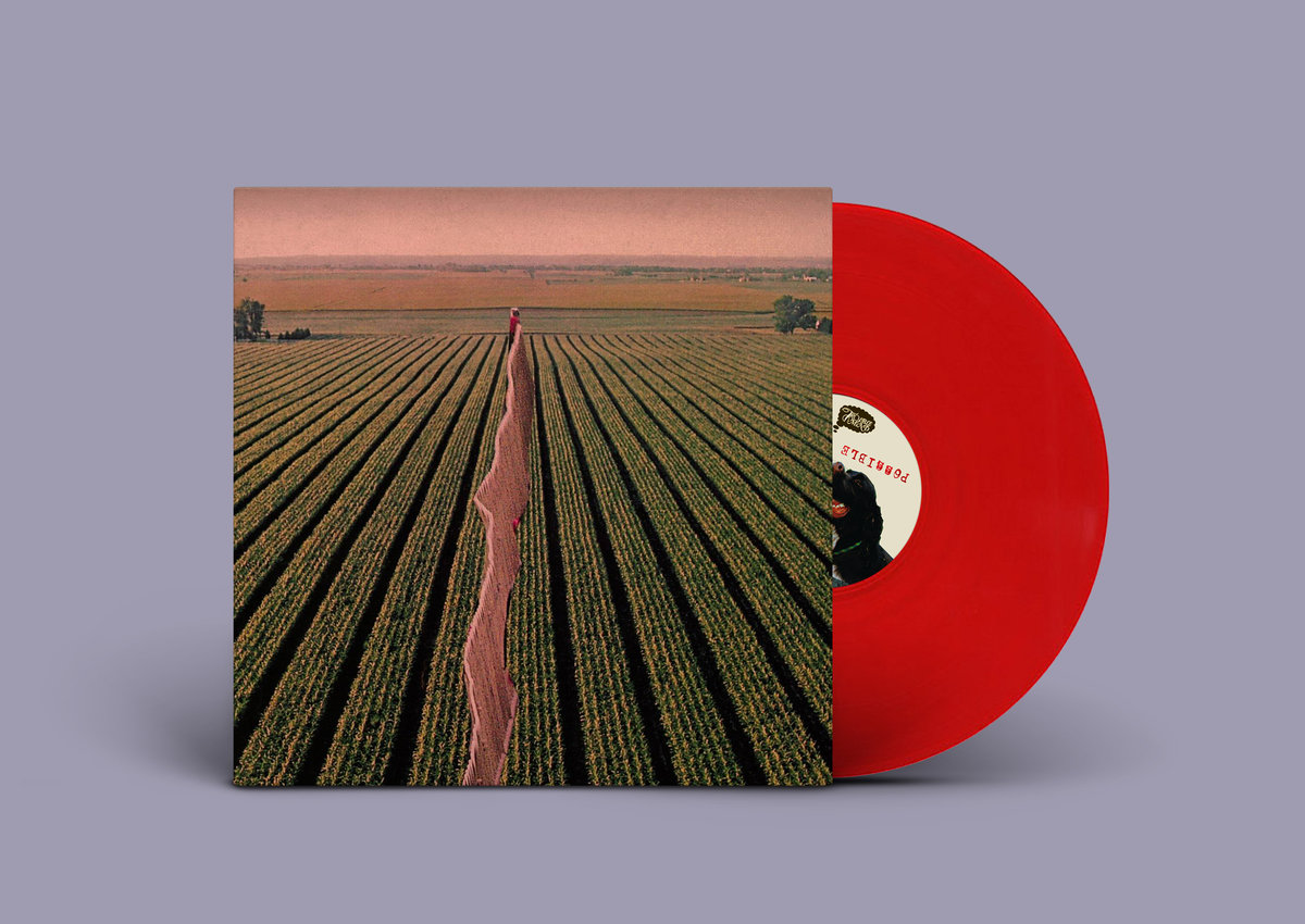 Possible Humans "Everybody Split" LP