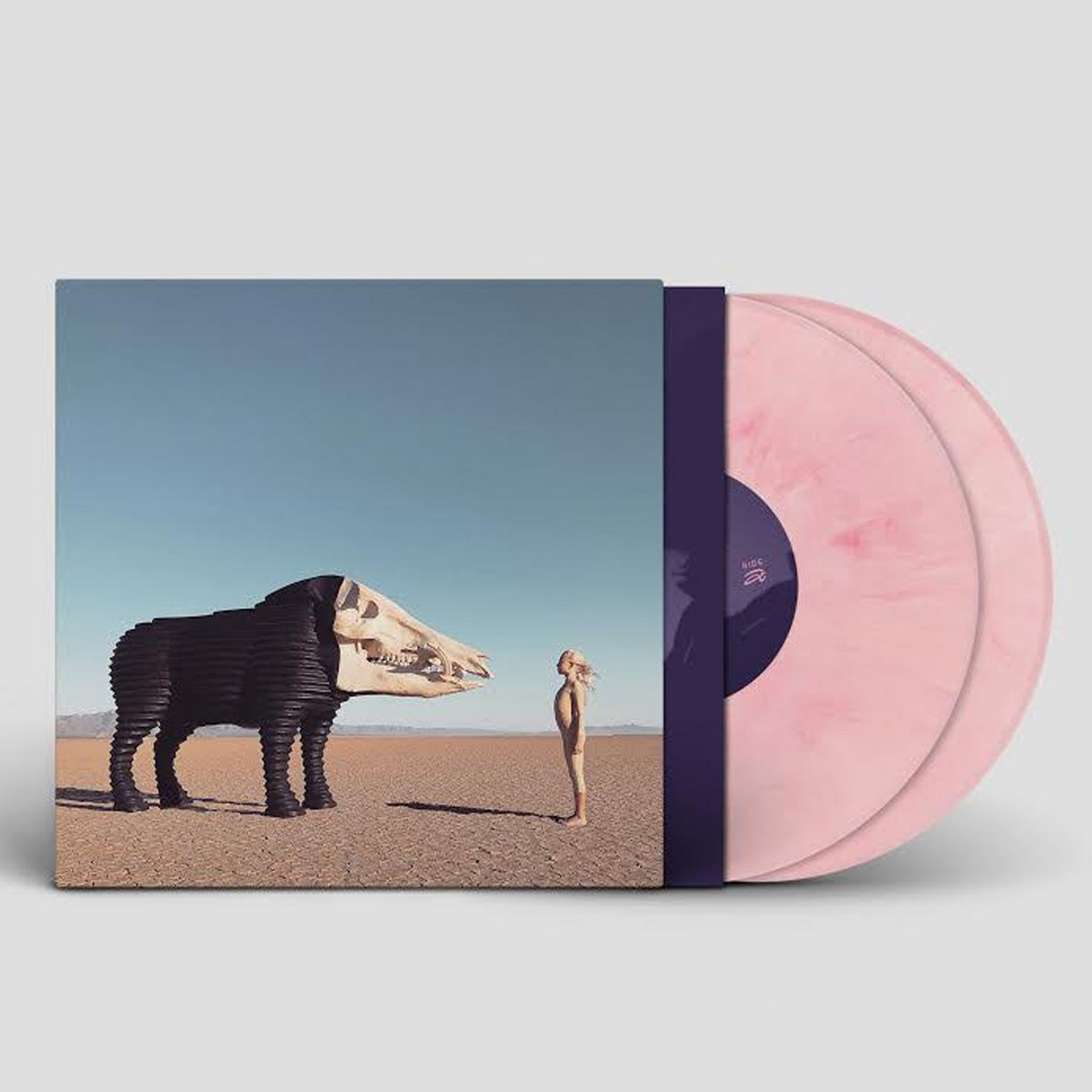 Man Man "Dream Hunting in the Valley of the In​-​Between" LP