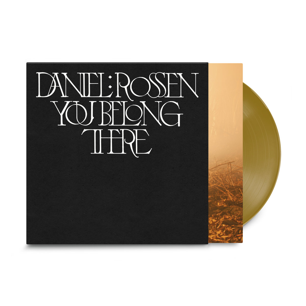Daniel Rossen "You Belong There" LP