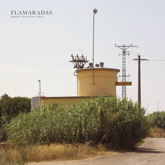 Flamaradas "Pasaje entre las cañas" LP