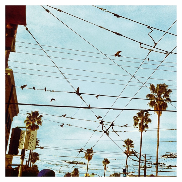 Cómo Vivir en el Campo "CVEEC 3" LP