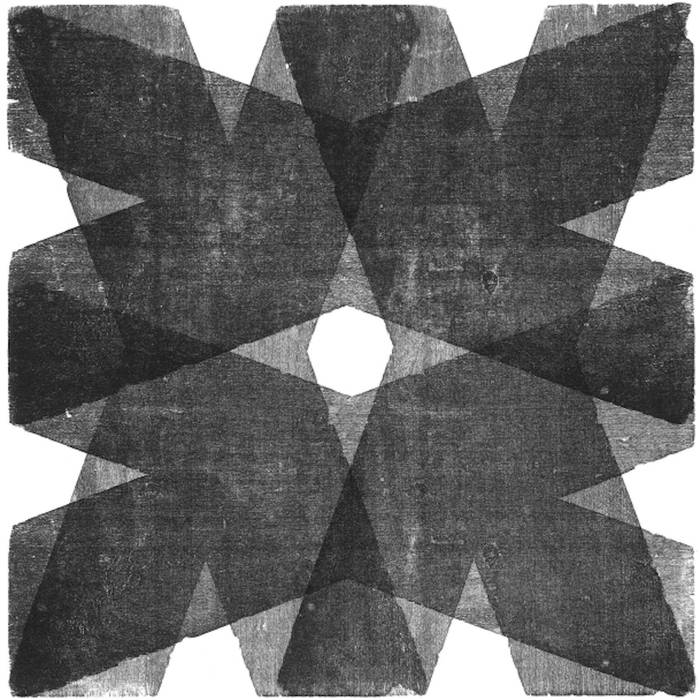 AMA "El Año en Imágenes" LP+CD