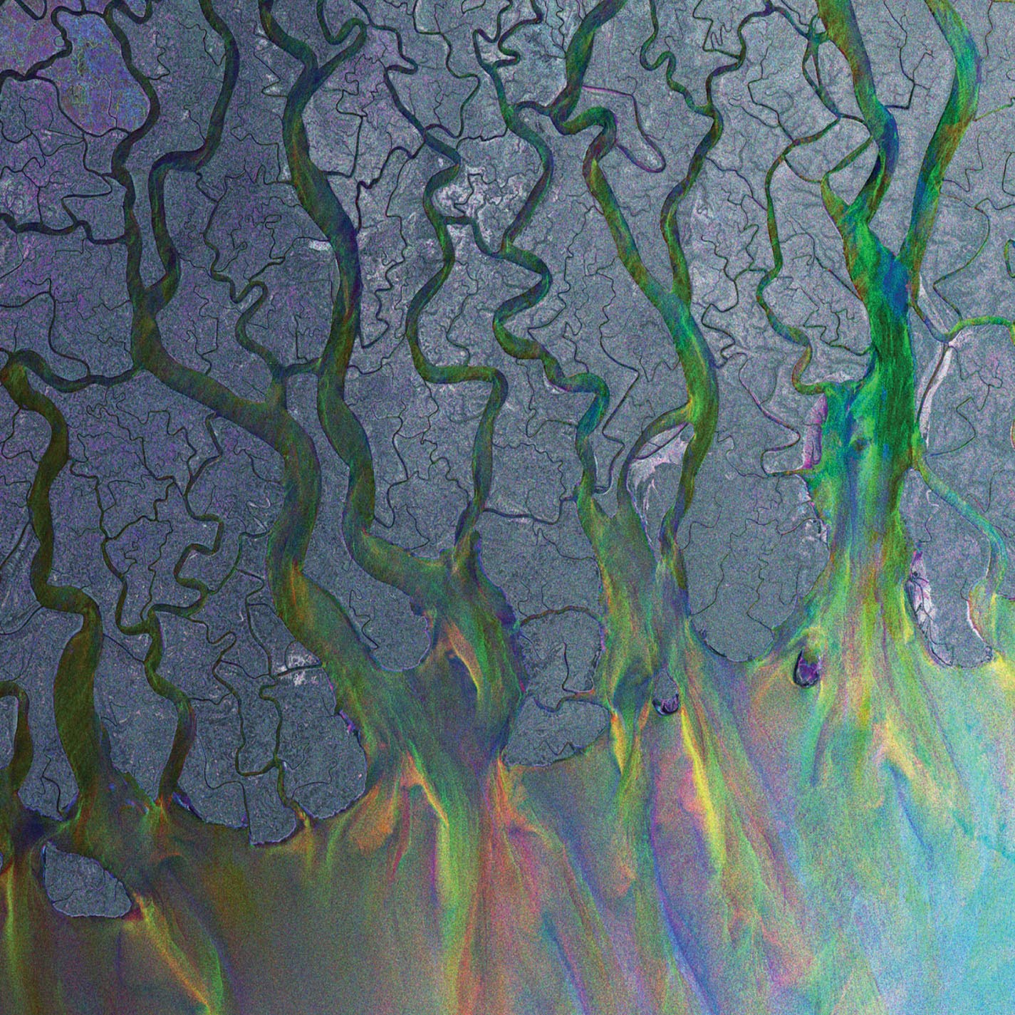 Alt-J "An Awesome Wave" Gatefold LP