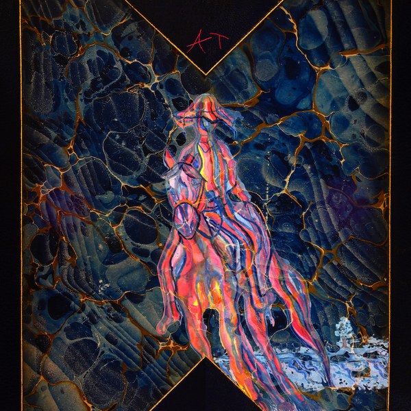 Avey Tare "Cows on Hourglass Pond" LP