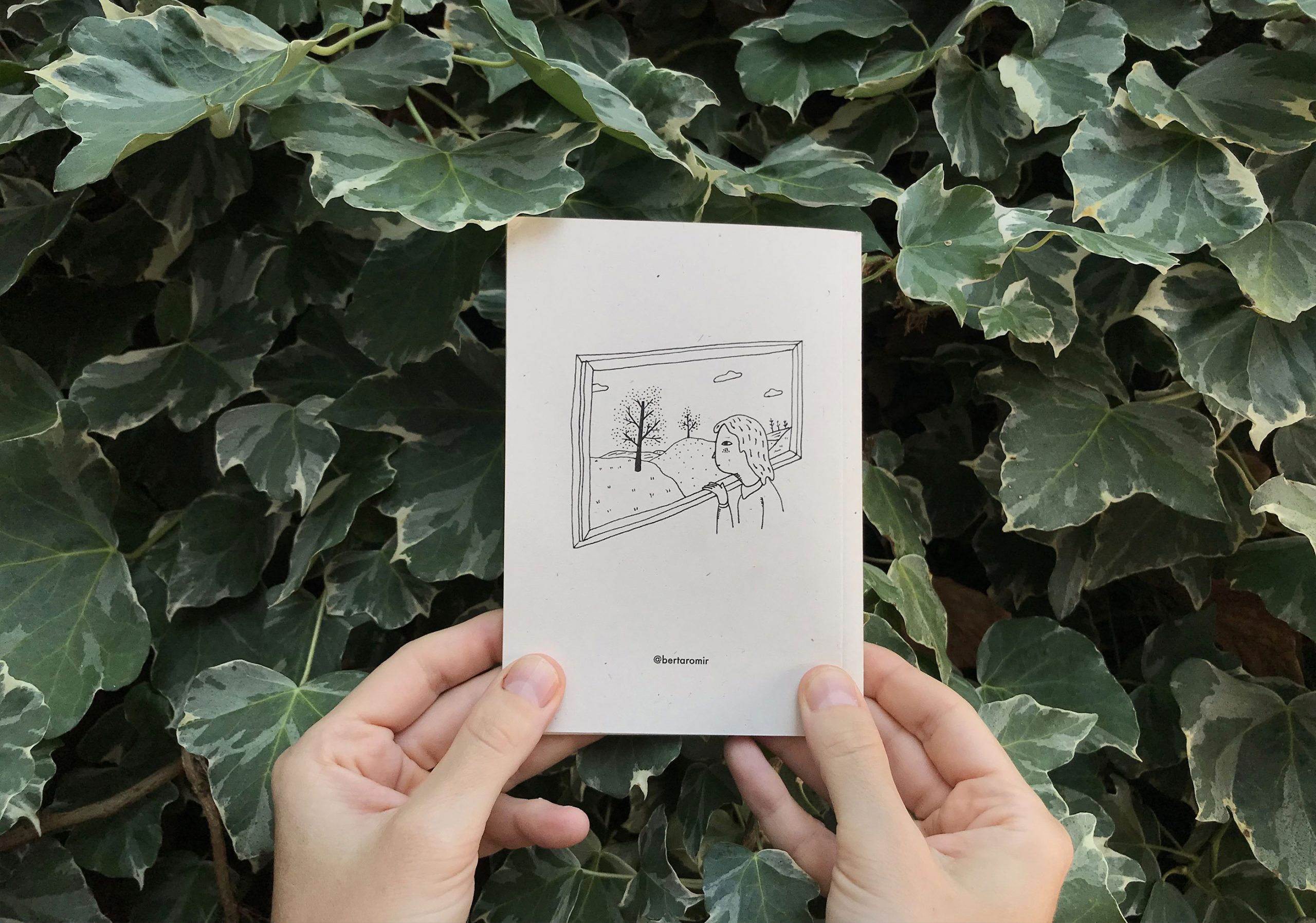 "Bàlsam" de Albert Aromir Ayuso