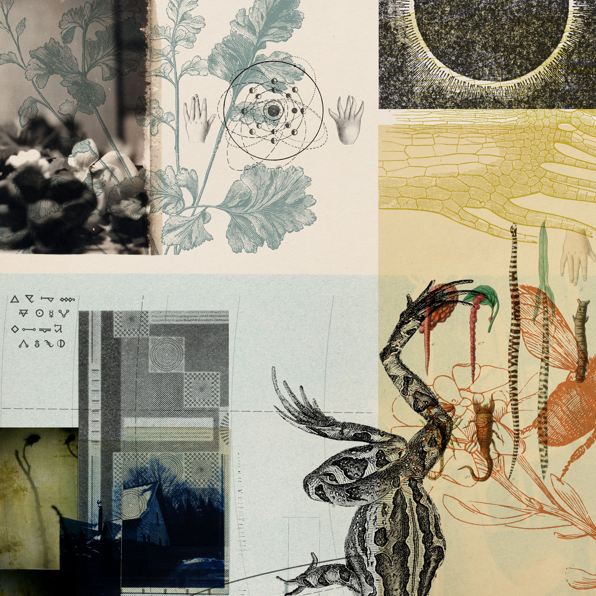 Balago "Els altres" LP