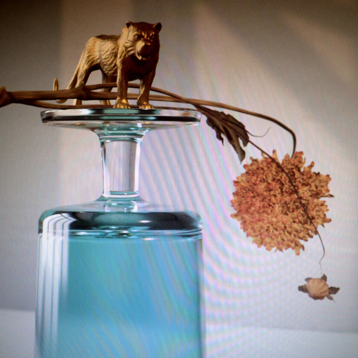 Beirut "Gallipoli" LP