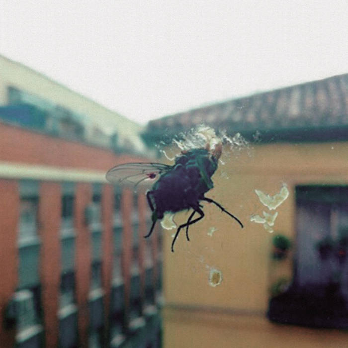 Biznaga "Gran Pantalla" LP