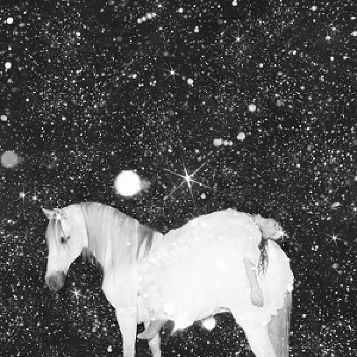 Black Lips "Apocalypse Love" Deluxe LP