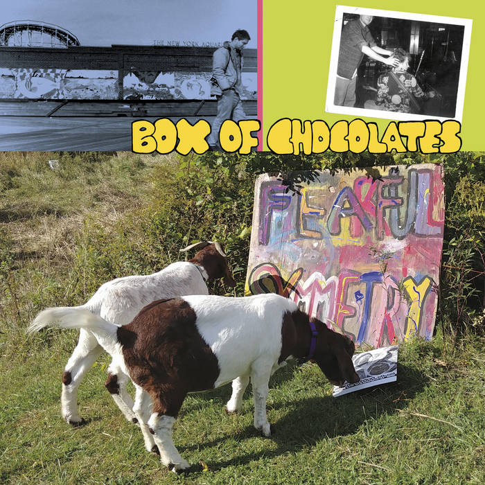 Box of Chocolate "Fearful symmetry" LP