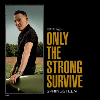 Bruce Springsteen "Only The Strong Survive" 2LP