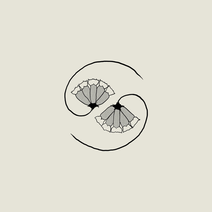 Godspeed You! Black Emperor "G_d’s Pee AT STATE’S END!" LP+10"ep