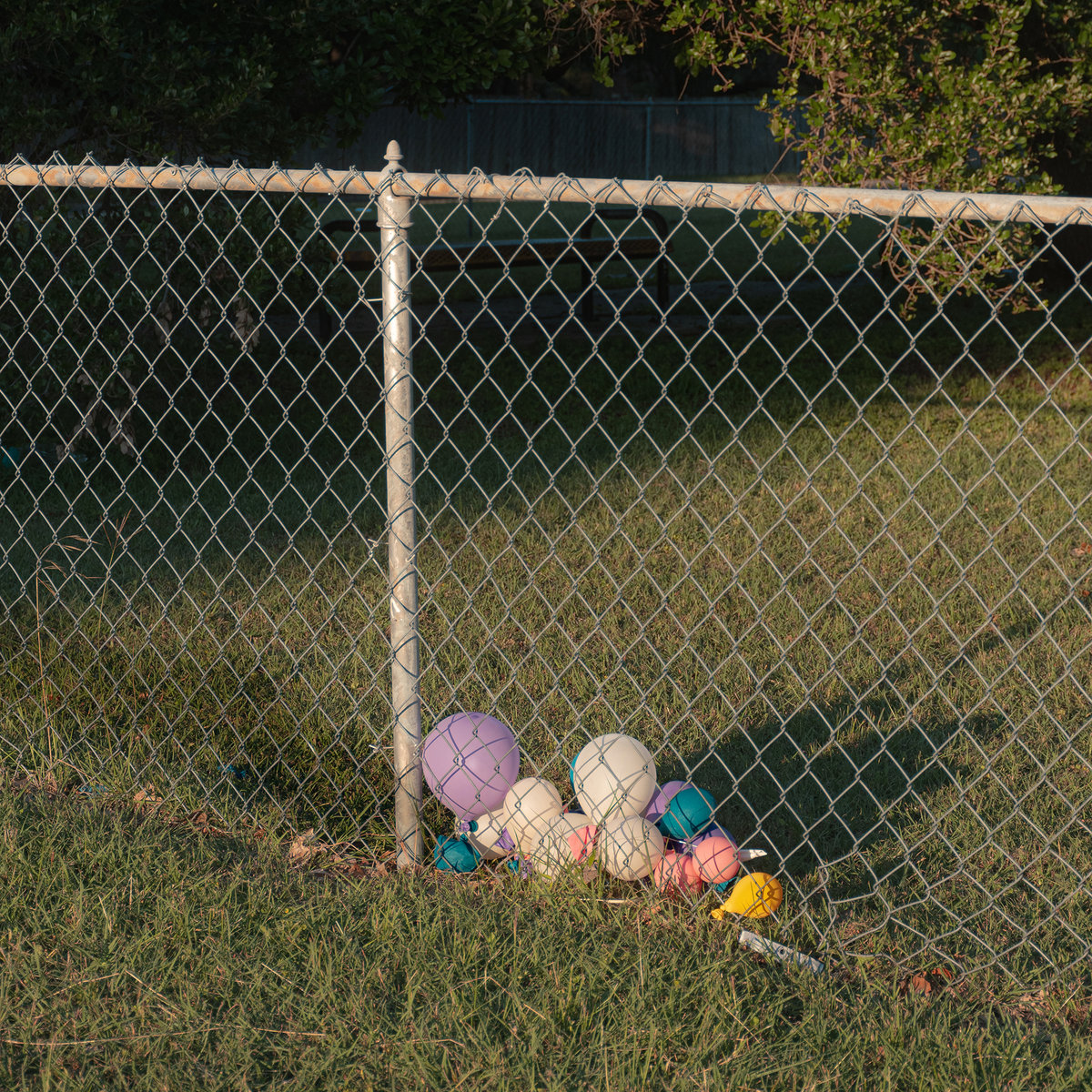 Good Looks "Bummer Year" LP Limitado