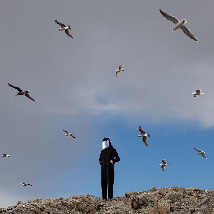 Hamerkop "Remote" LP