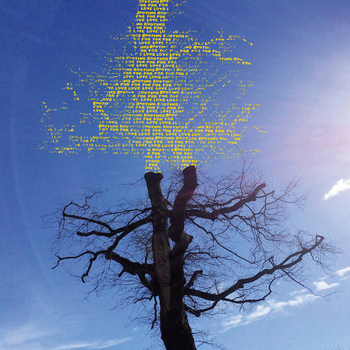 Laetitia Sadier "Rooting For Love" LP