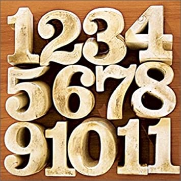 La Buena Vida "Álbum" LP Color Bronce