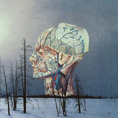 Low "Songs For A dead Pilot" LP Reedición