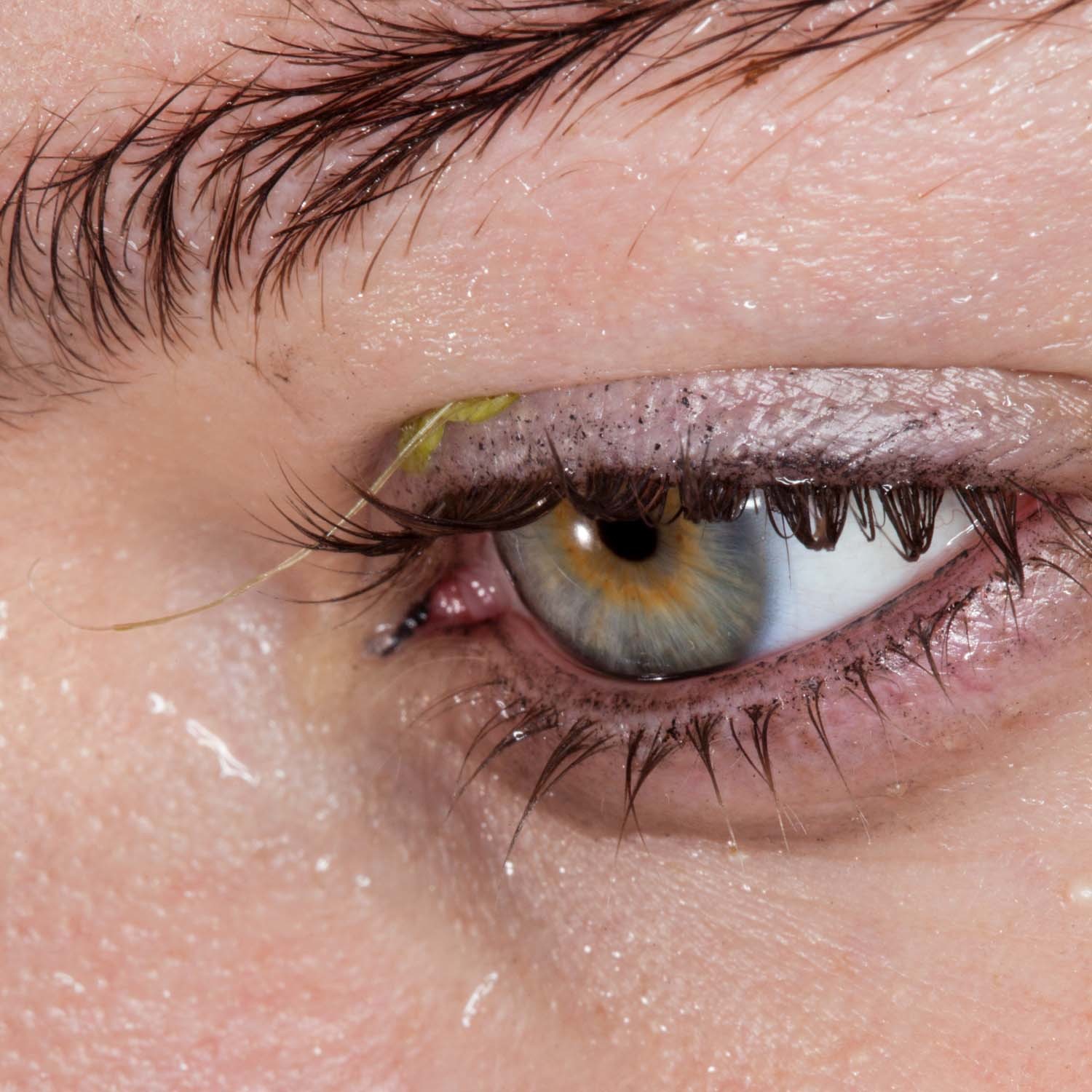 Låpsley "These Elements" EP