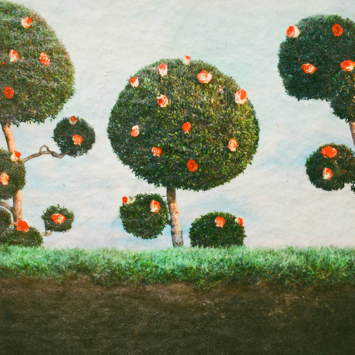 Midnight Sister "Painting the Roses" LP