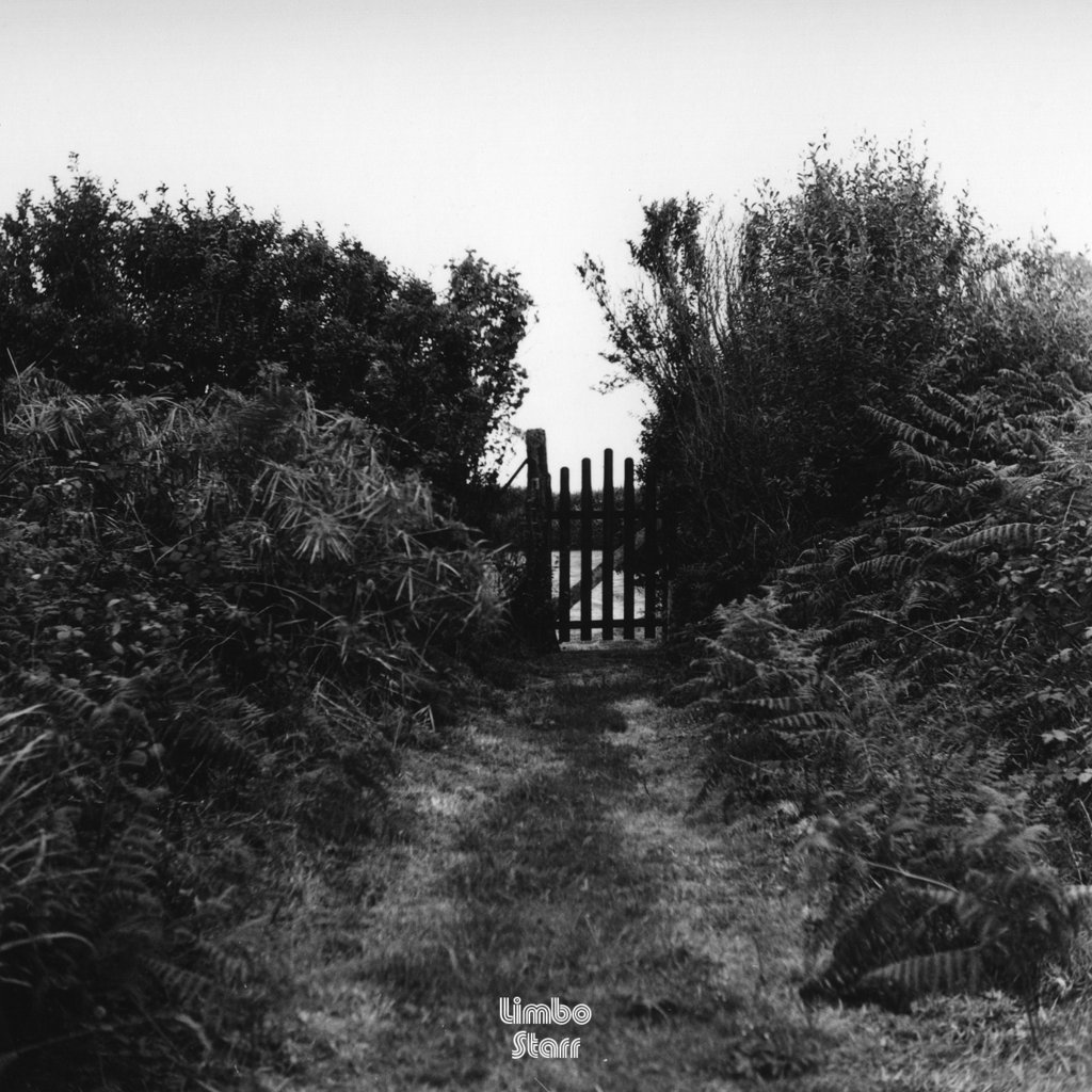 Modelo de Respuesta Polar "El cariño" CD