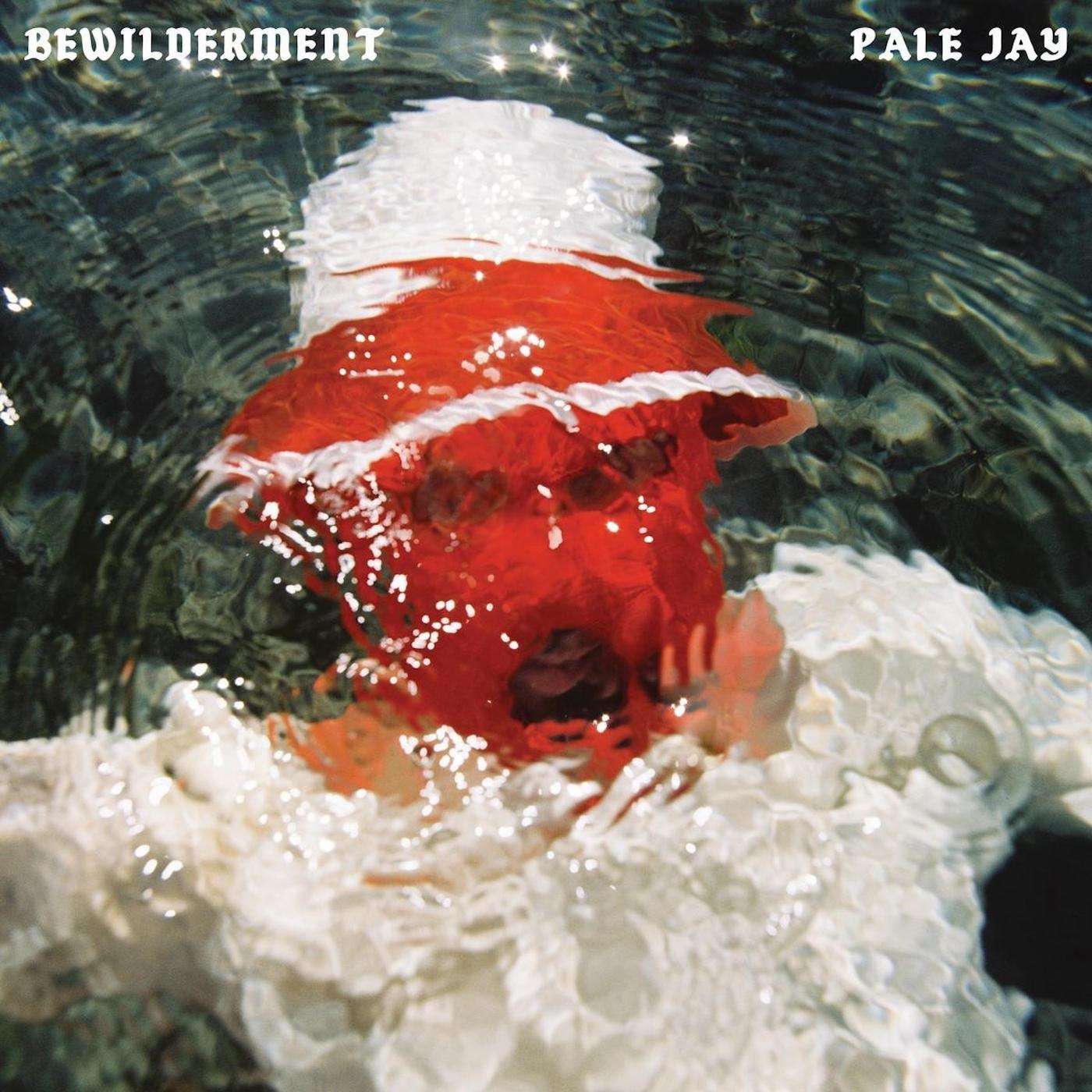 Pale Jay "Bewilderment" Red 🔴 LP