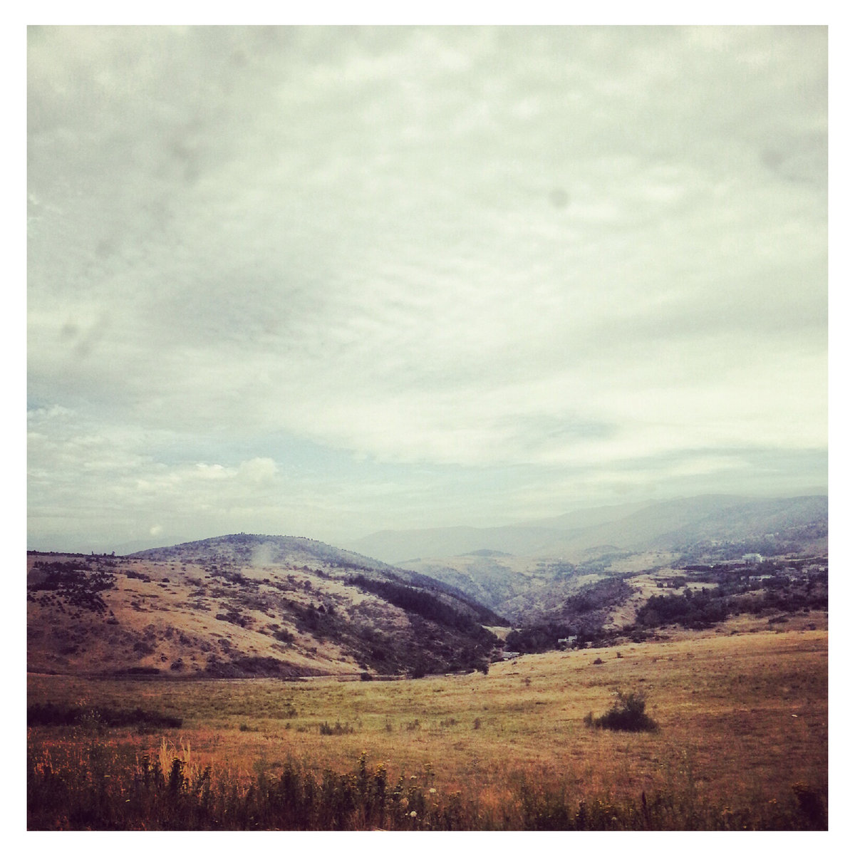 Pau Vallvé "de bosc" LP