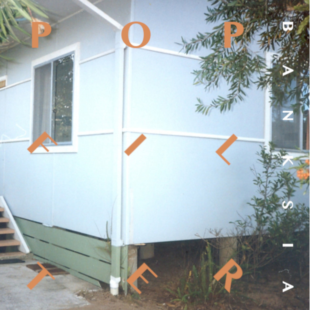 Pop Filter "Banskia" LP