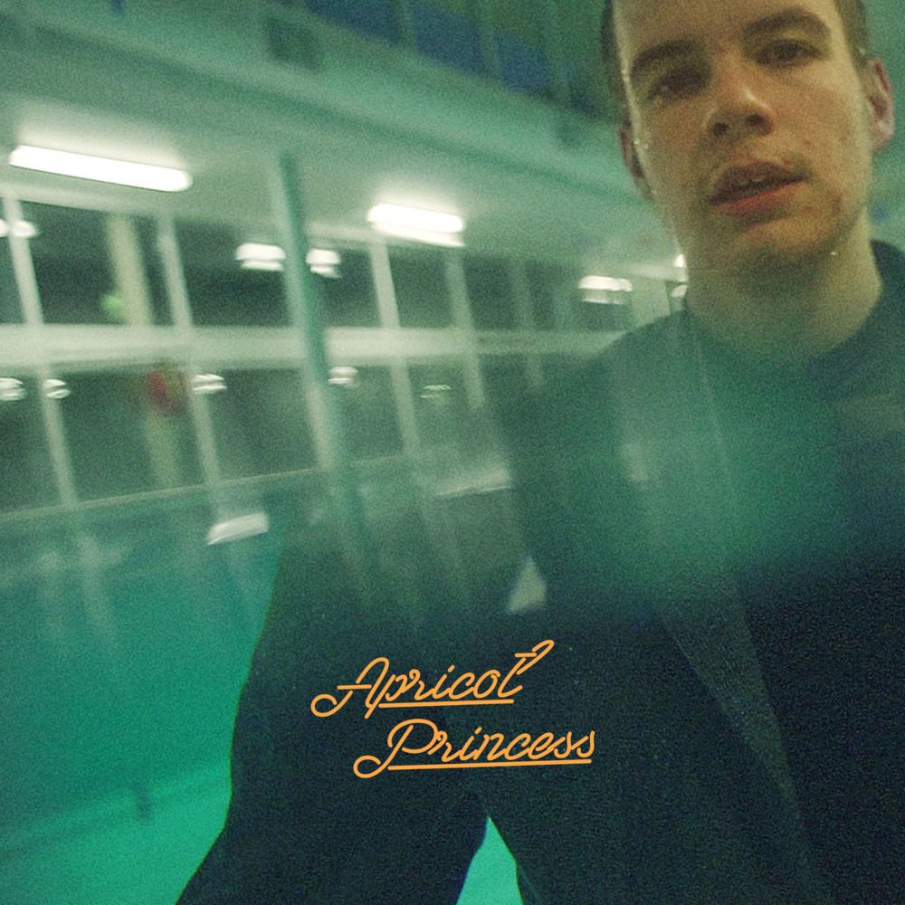 Rex Orange County "Apricot princess" LP