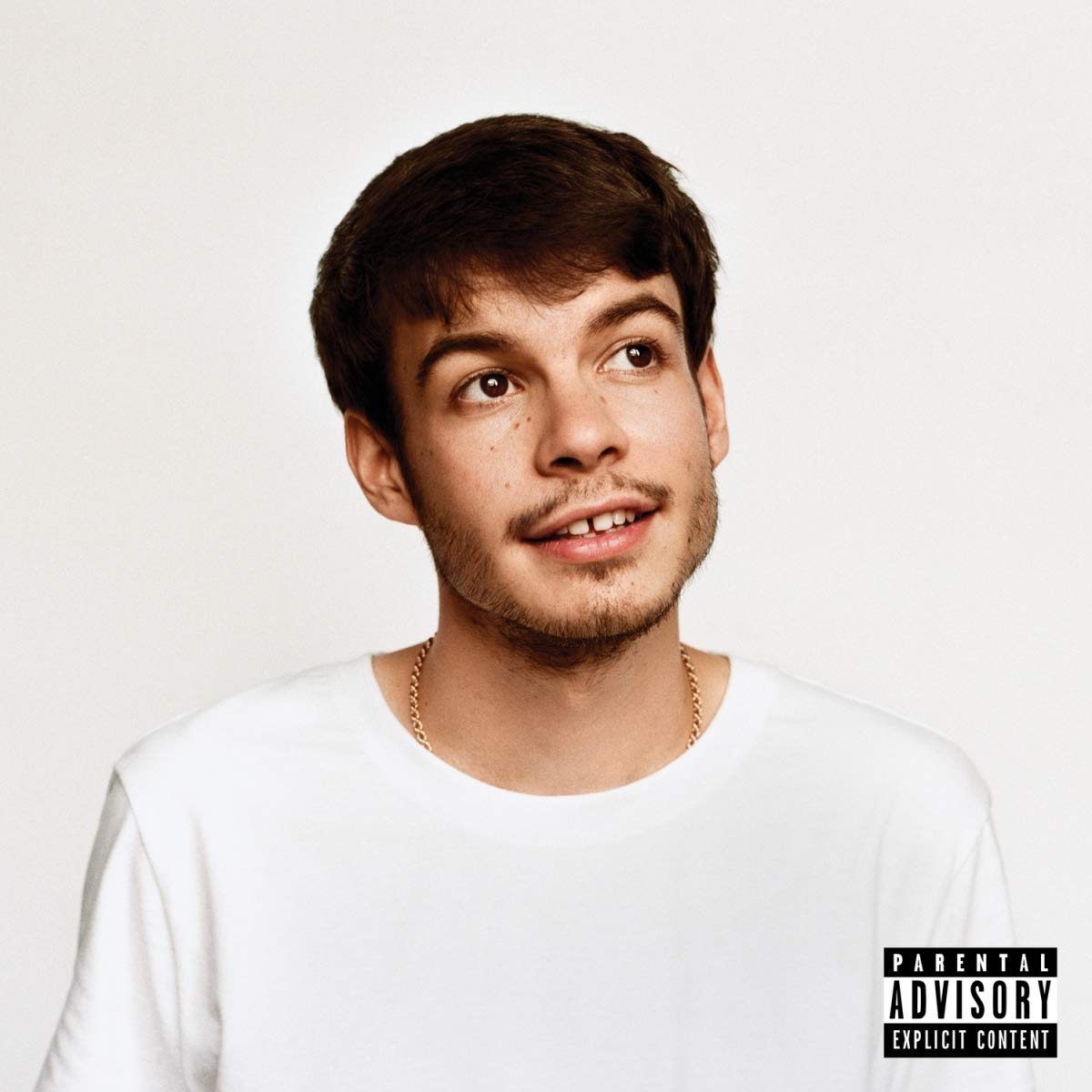 Rex Orange County "Pony" LP