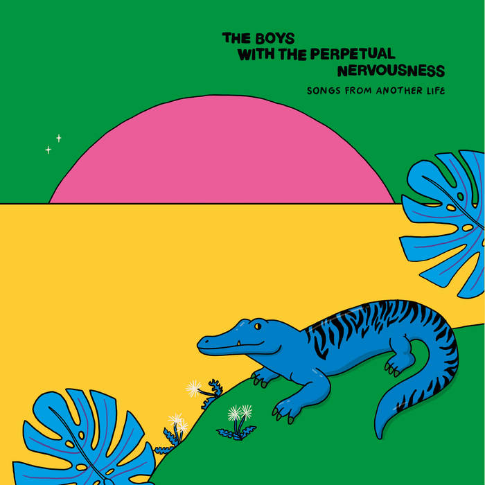 The Boy With the Perpetual Nervousness "Songs From Another Life" Lp