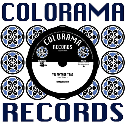 Teenage Waitress "You Aint Got it Back" Blue 7"