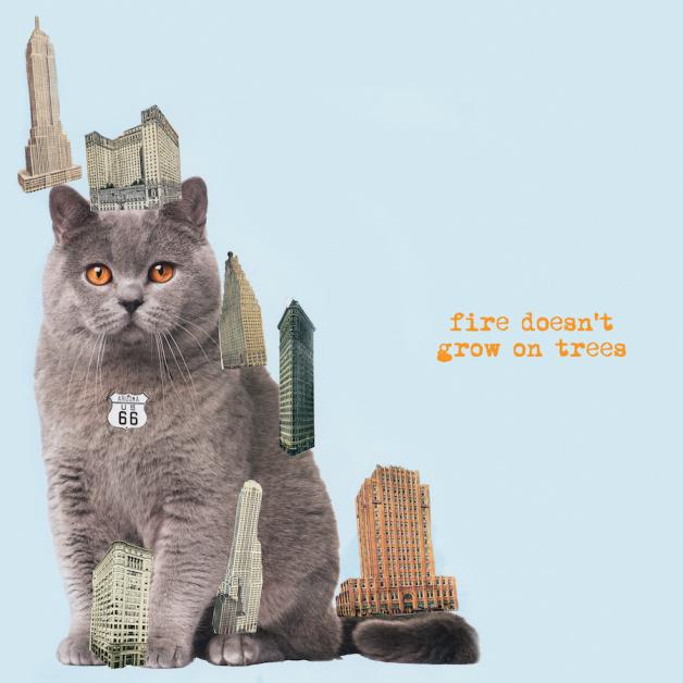 The Brian Jonestown Massacre "Fire Doesn't Grow on Trees" LP