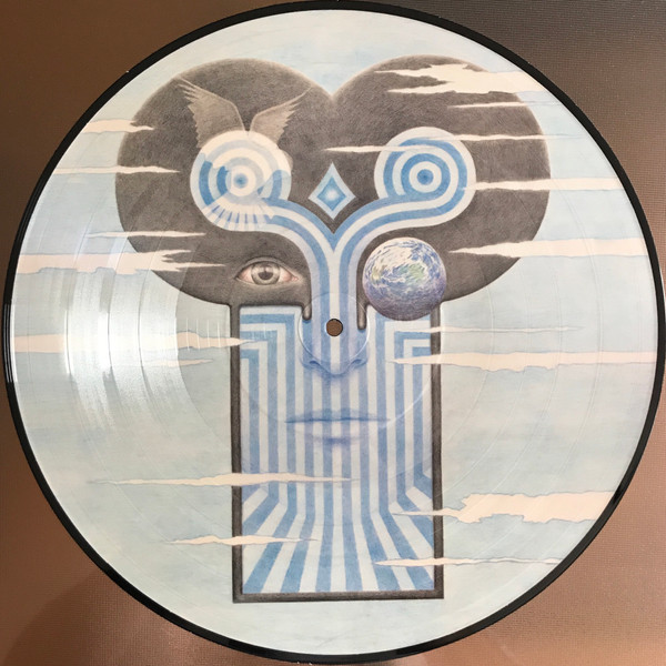 The Chameleons "What Does Anything Mean? Basically" Picture LP