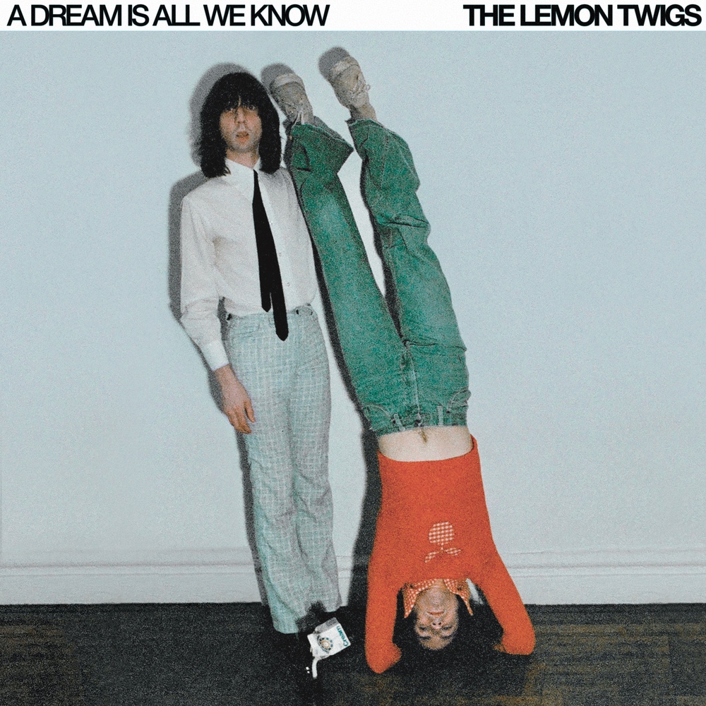 Lemon Twigs "A Dream Is All We Know" lp