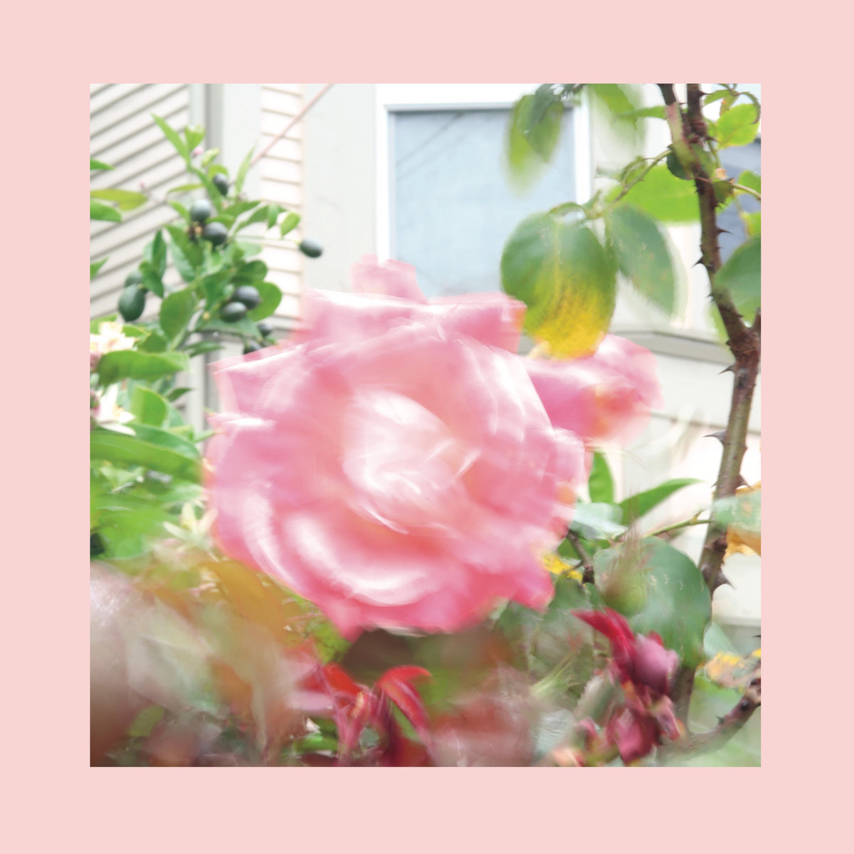 The Reds, Pinks & Purples "Summer at Land's..." LP