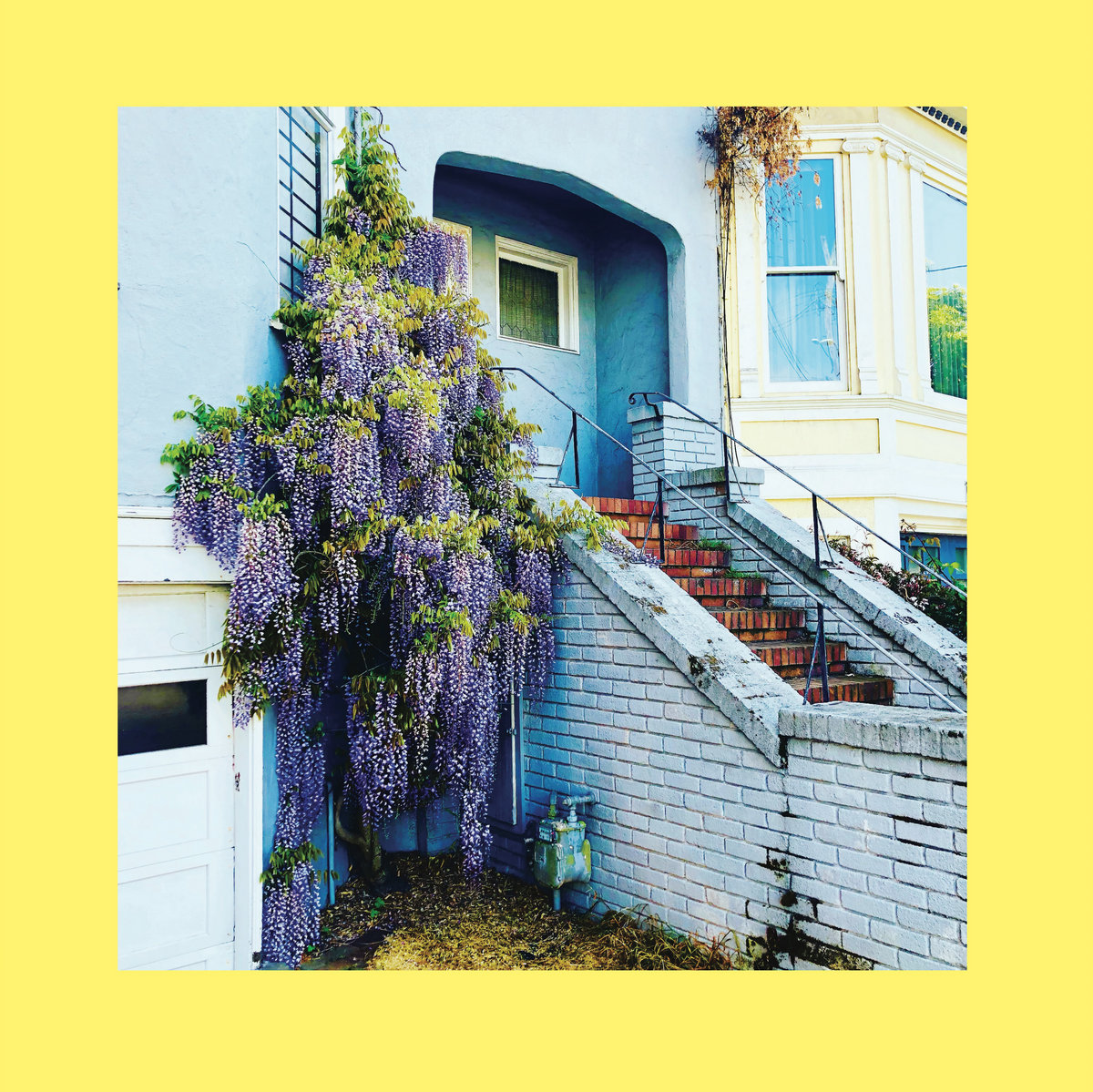 The Reds, Pinks & Purples "They Only Wanted Your Soul" Blue LP