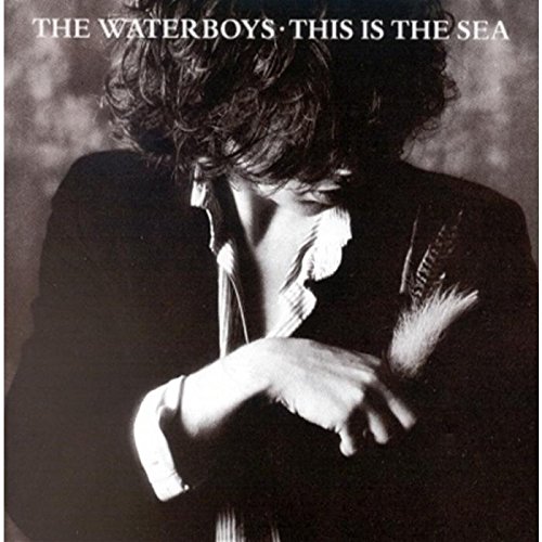 The Waterboys "This is the Sea" LP