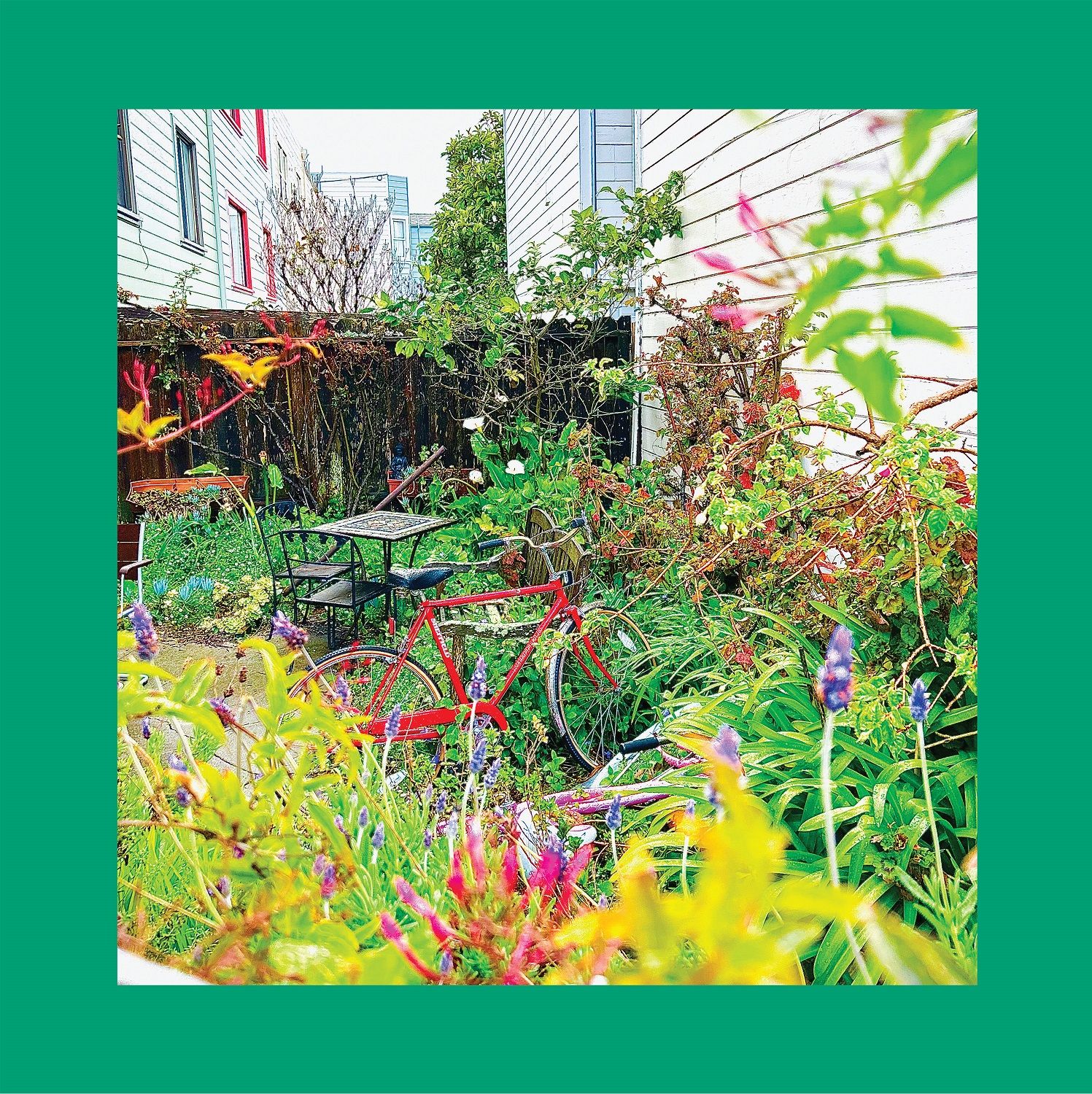 The Reds, Pinks And Purples "Unwishing Well" White ⚪ LP