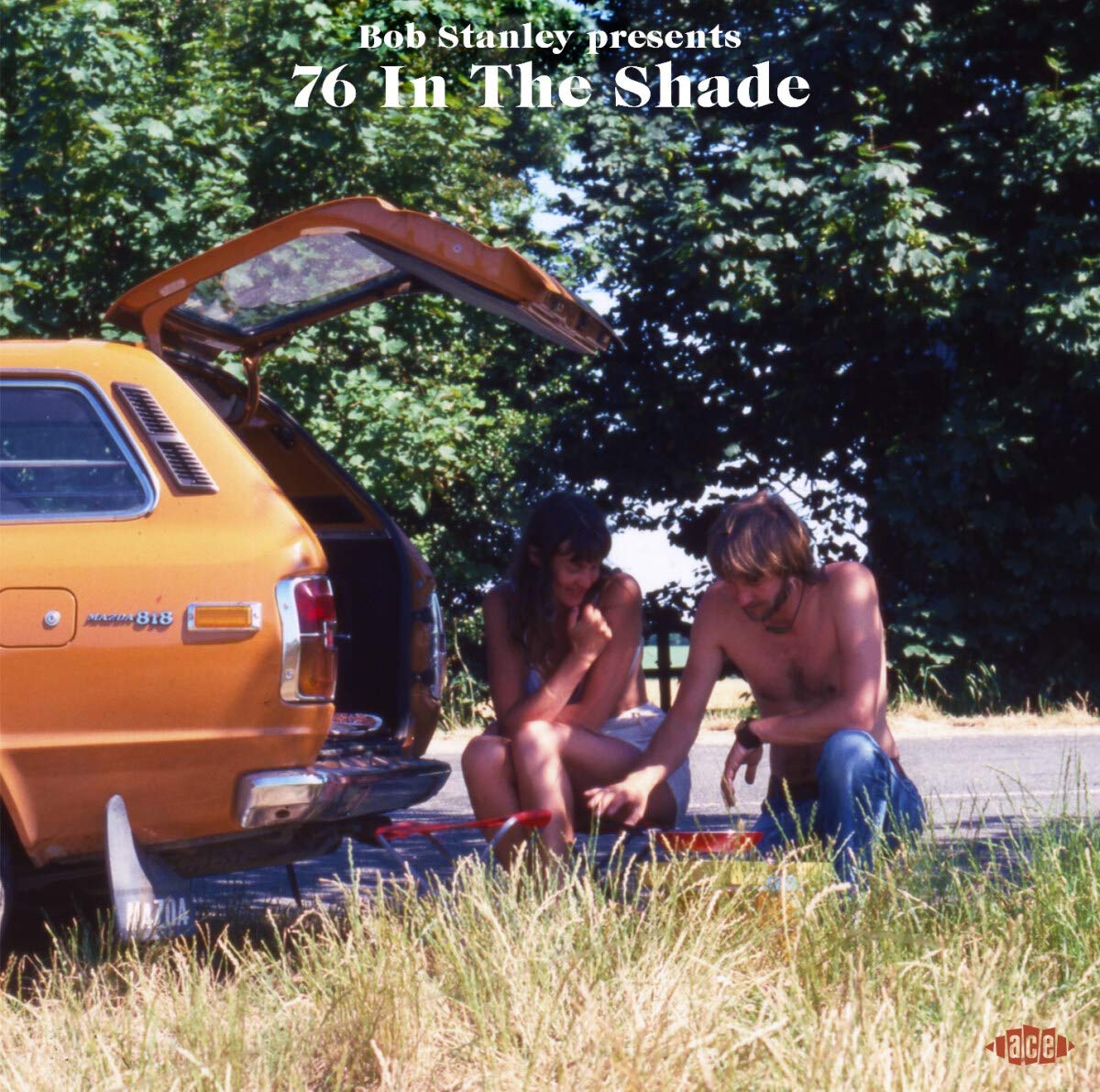 VV.AA "Bob Stanley presents 76 In the Shade" LP
