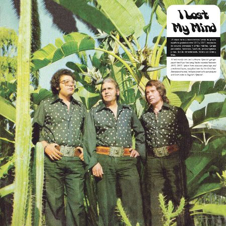 VV.AA "I Lost My Mind" LP