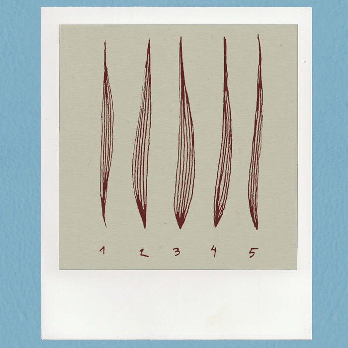 Los Caramelos "Cicatrices de un cuento (I)