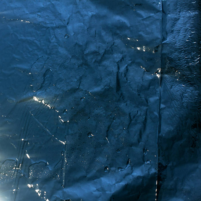 Polseguera "Vida Grisa" LP