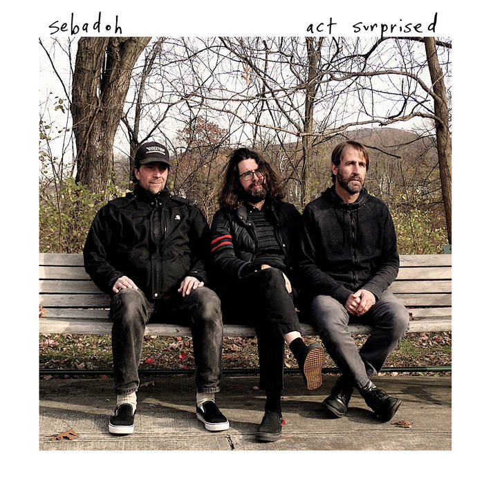 Sebadoh "Act surprised" LP