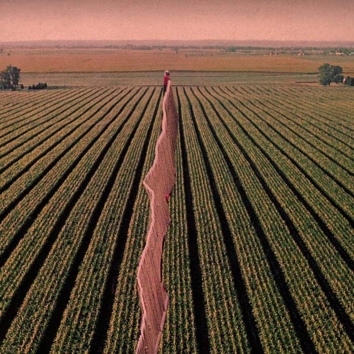 Possible Humans "Everybody Split" LP