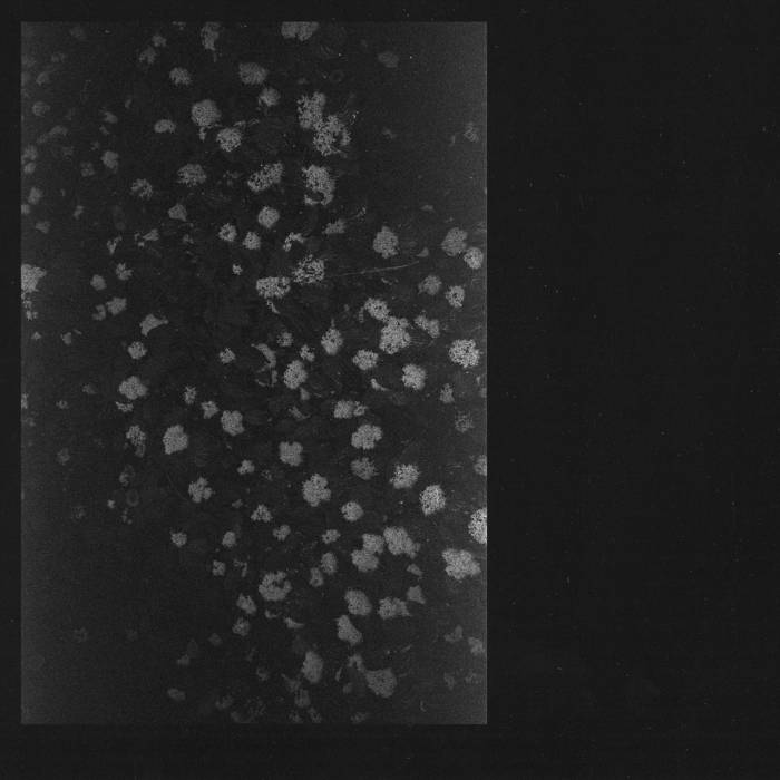 Motorama "Poverty" CD