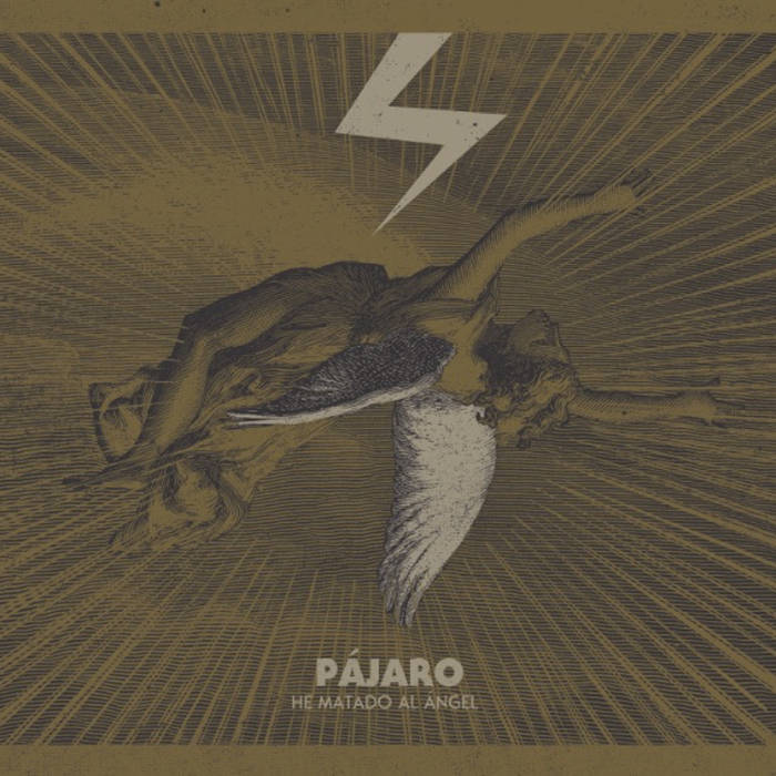 Pájaro "He matado al ángel" LP