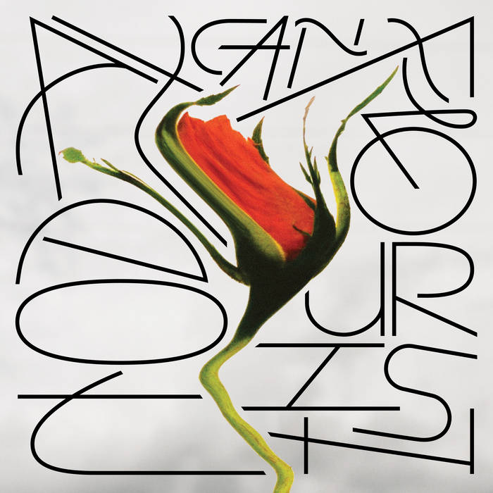 Furguson "Today can flourish" LP