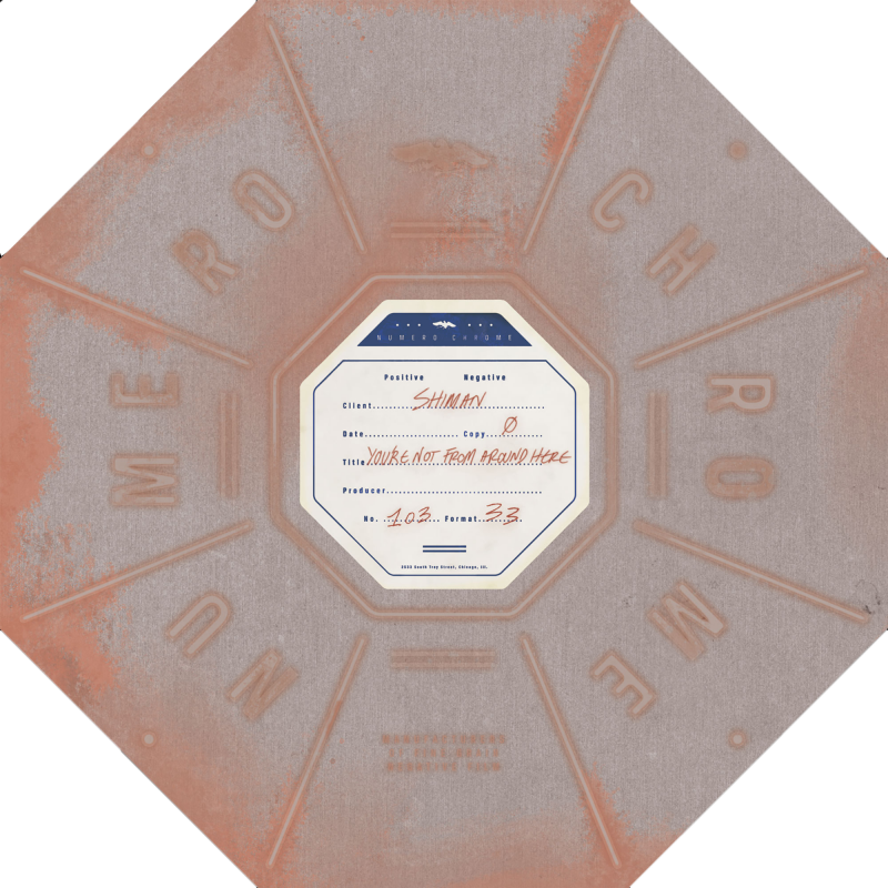 VV.AA "You're not from around here" LP