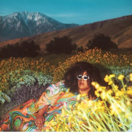 Brittany Howard "What Now" Indies LP