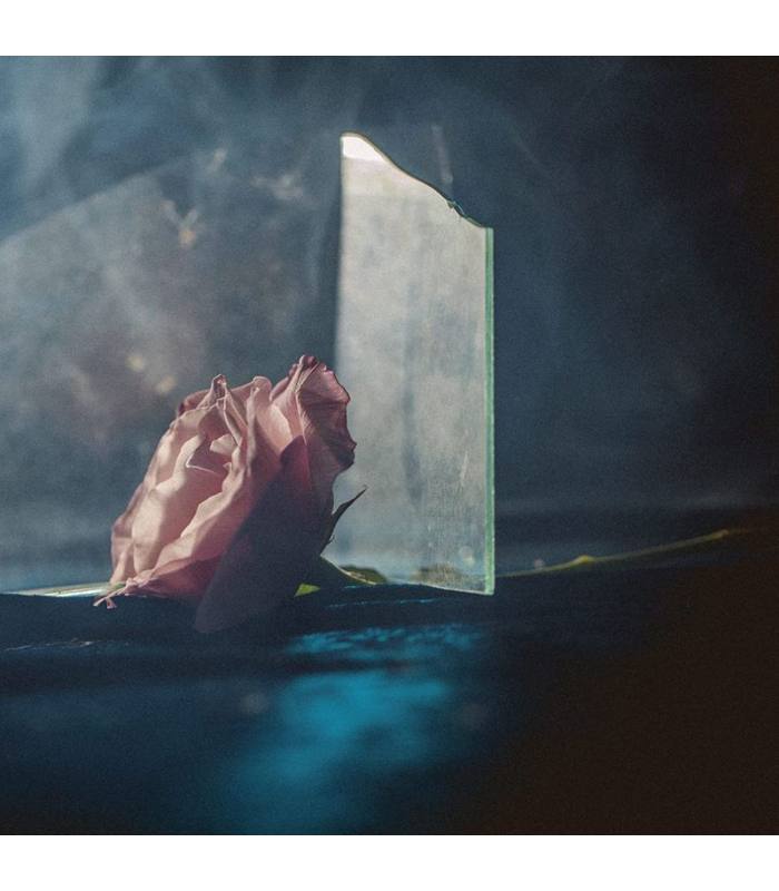 Lee Renaldo "In Virus Times" Limited coloured & Etched Edition with Signed Print LP